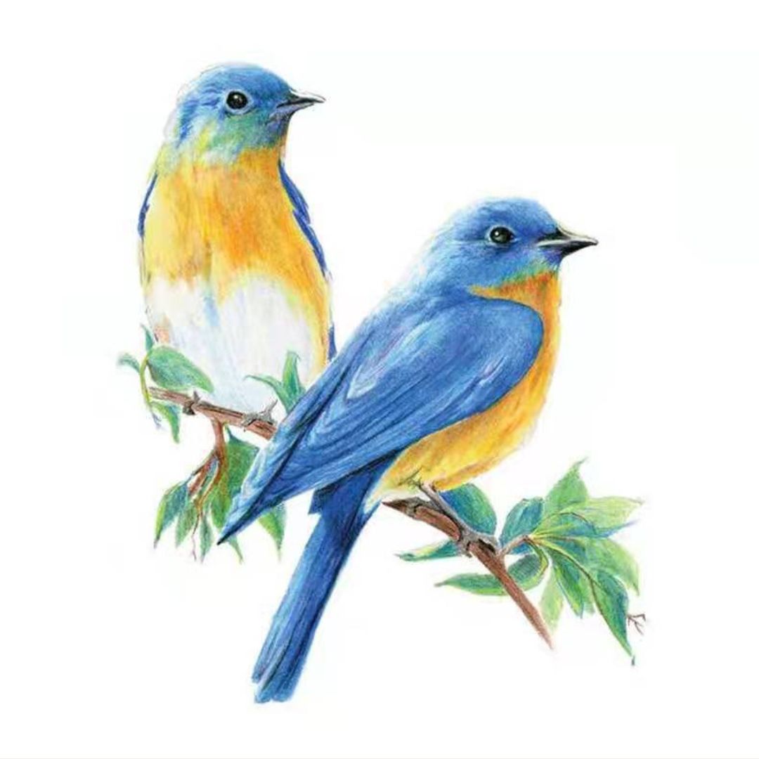 Arttrack 高級專業木顏色筆