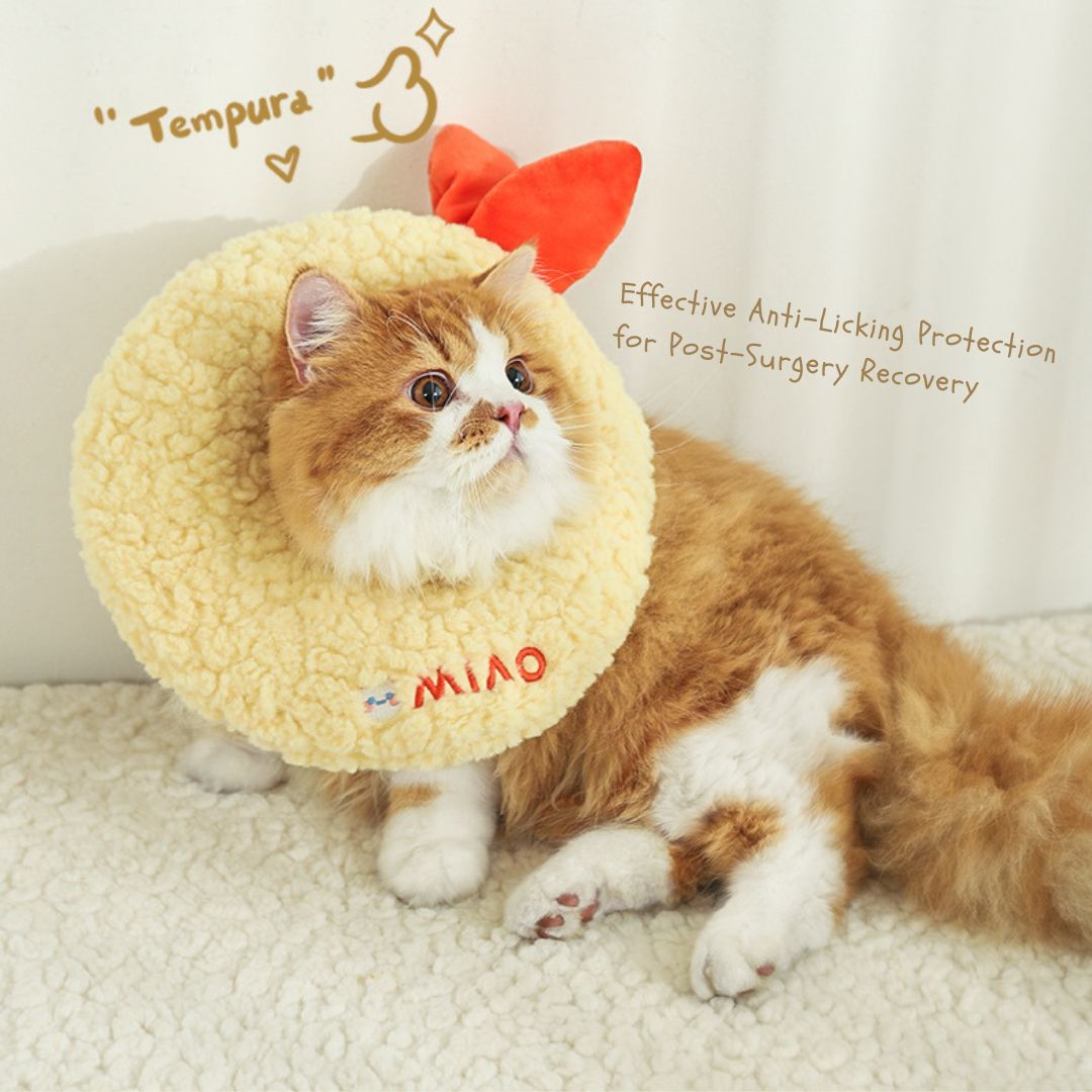 ペット猫用首輪 舐め防止ヘッドウェア