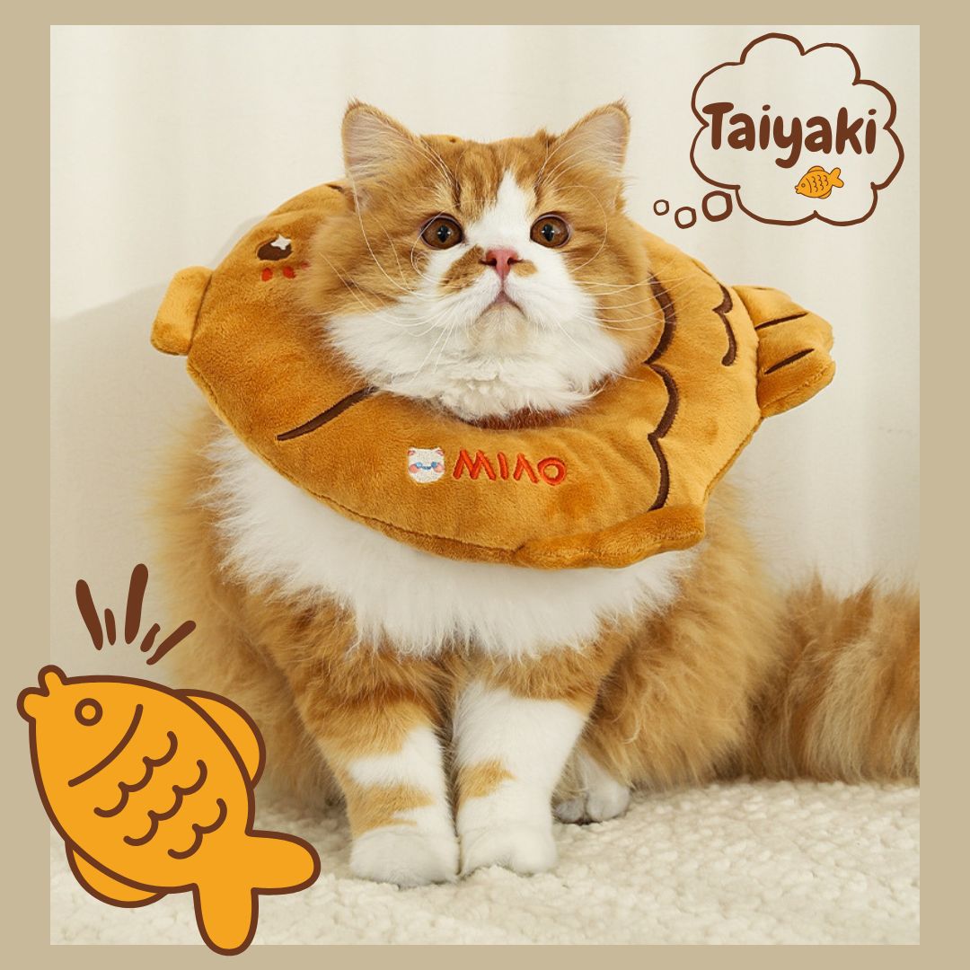 ペット猫用首輪 舐め防止ヘッドウェア