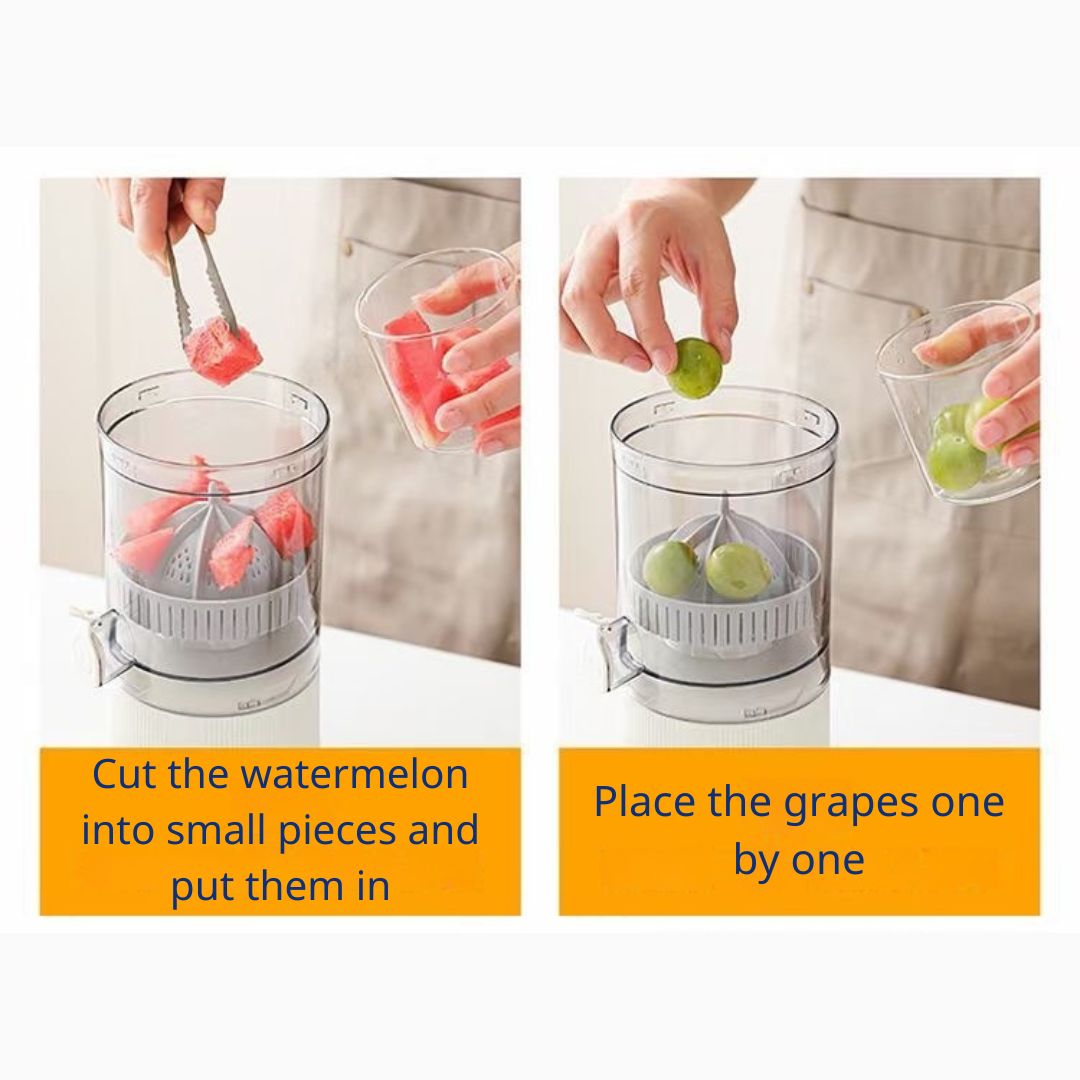 Mini Juicer