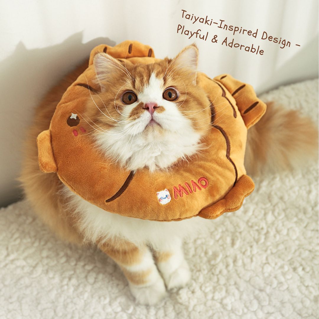 ペット猫用首輪 舐め防止ヘッドウェア