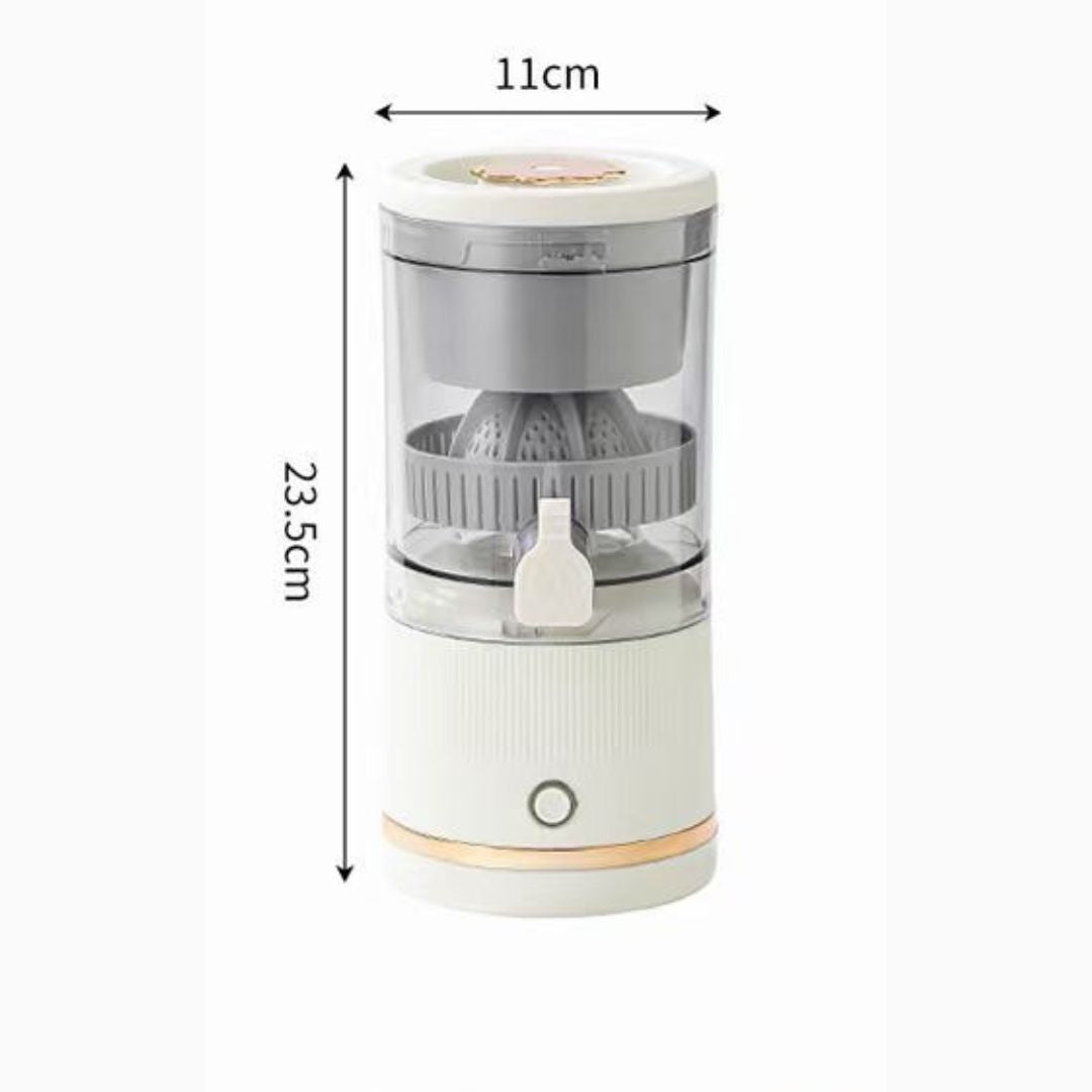Mini Juicer