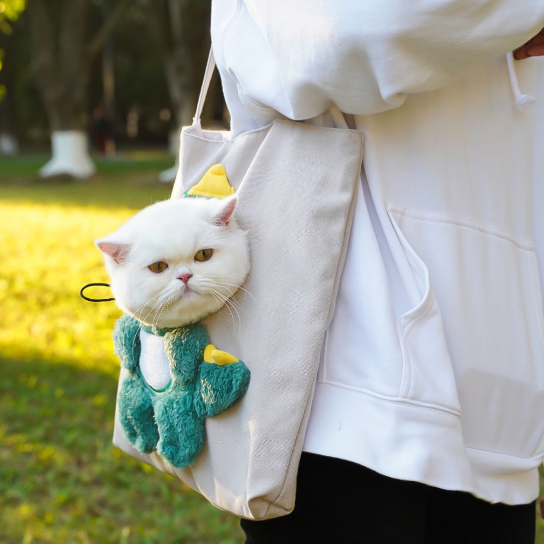 Pet Travel Shoulder Bag