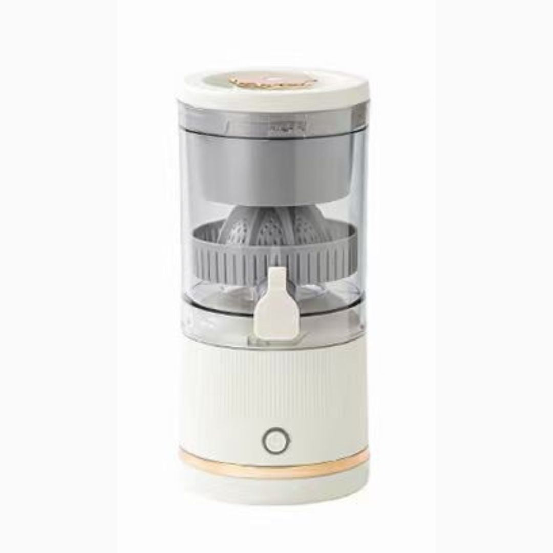 Mini Juicer