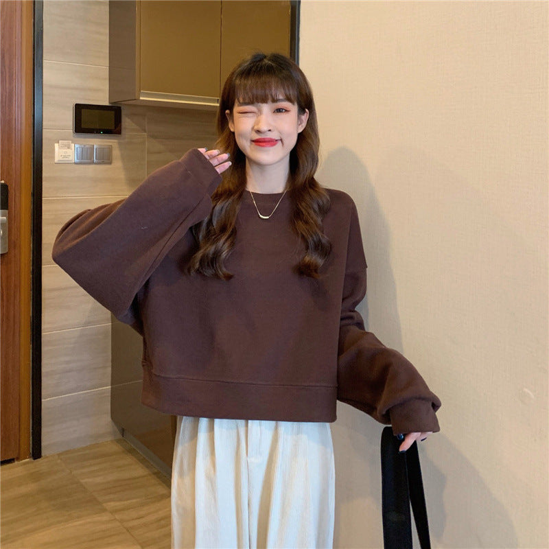 Solid Crewneck Oversized Sweatshirt