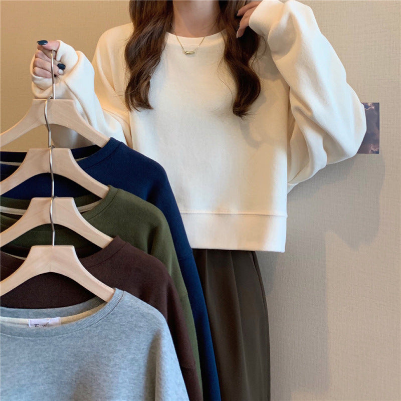 Solid Crewneck Oversized Sweatshirt