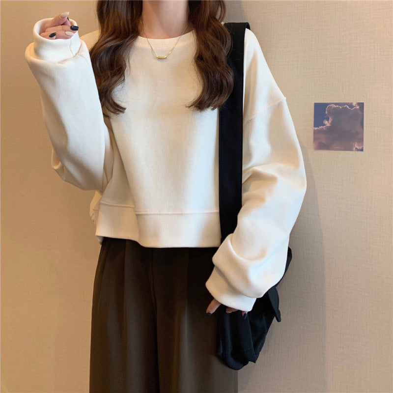 Solid Crewneck Oversized Sweatshirt
