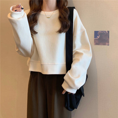 Solid Crewneck Oversized Sweatshirt