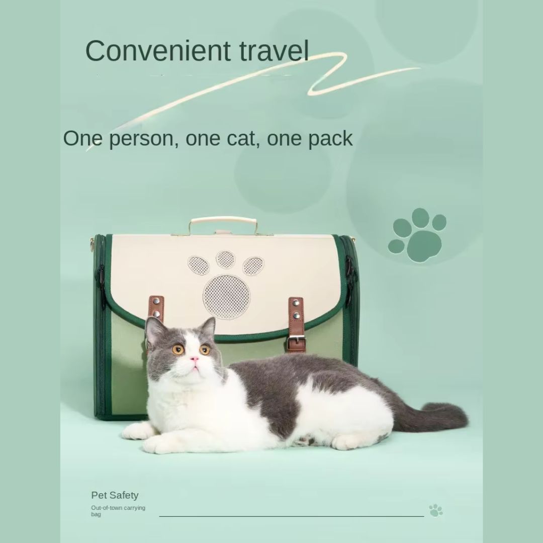 Pet Outdoor Backpack