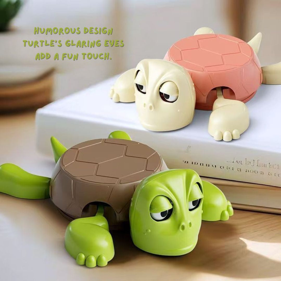 Little Turtle Coaster