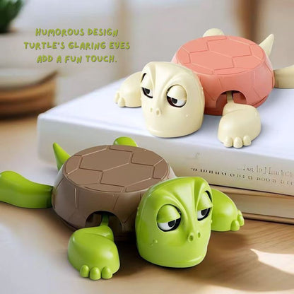 Little Turtle Coaster