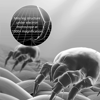 3合1汽車及家用殺菌除蟎手提吸塵機