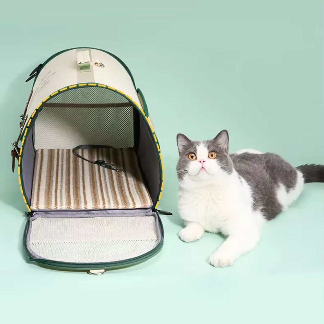Pet Outdoor Backpack
