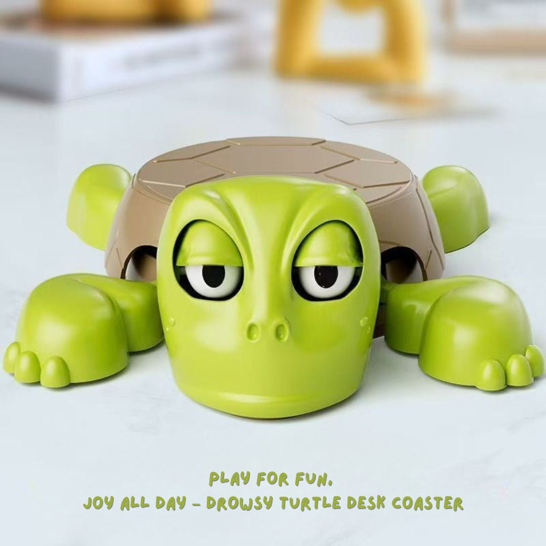 Little Turtle Coaster