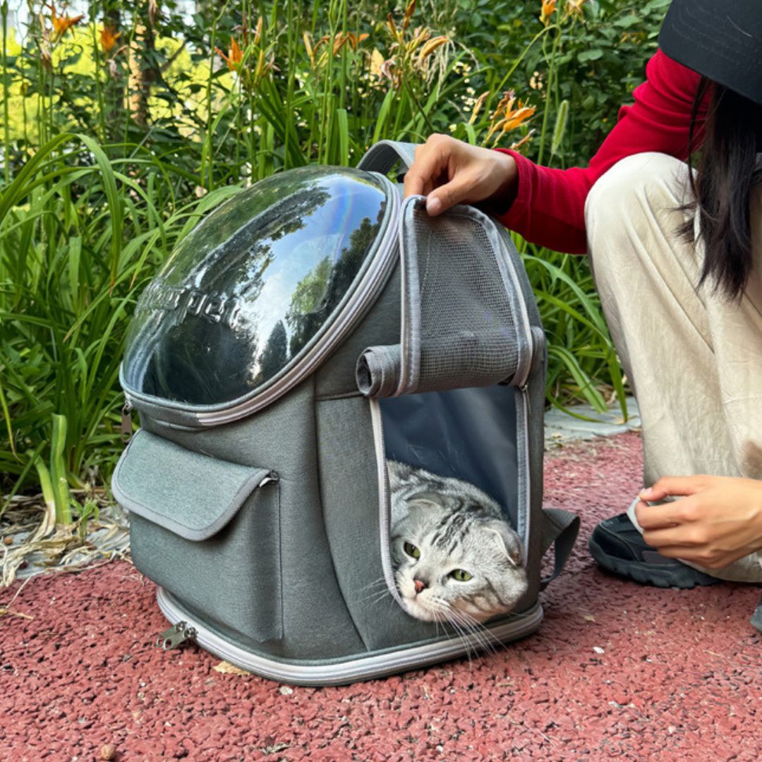 Pet Skylight Travel Bag