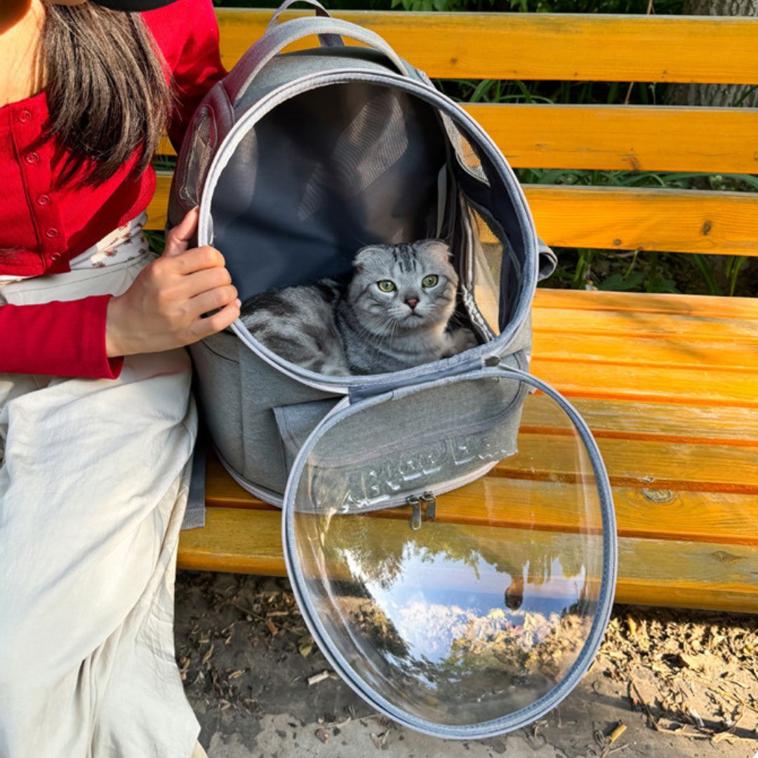 Pet Skylight Travel Bag