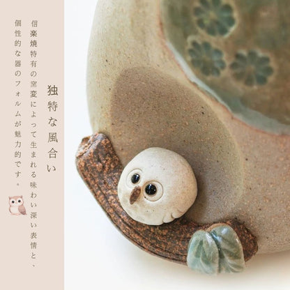 Shigaraki Ware Mini Owl Vase