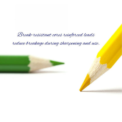 Arttrack 高級專業木顏色筆 