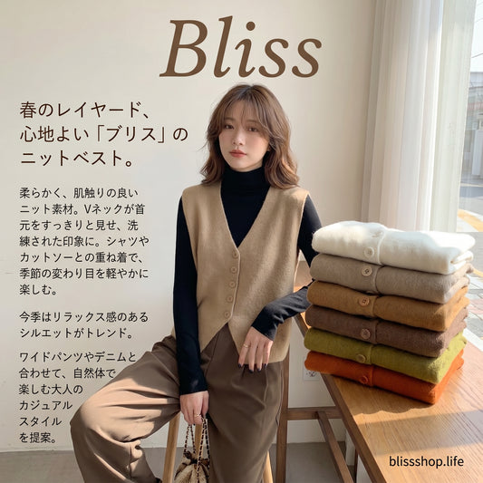 秋のVネックニットベスト 